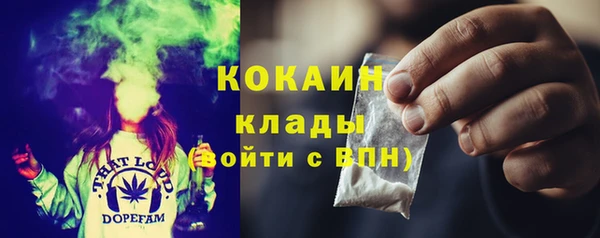 прущие грибы Алексин