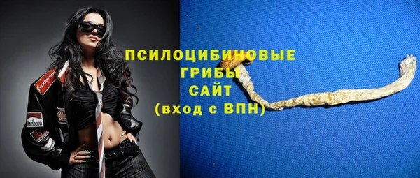 прущие грибы Алексин