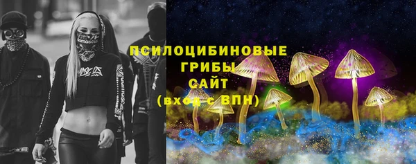 бошки Алексеевка