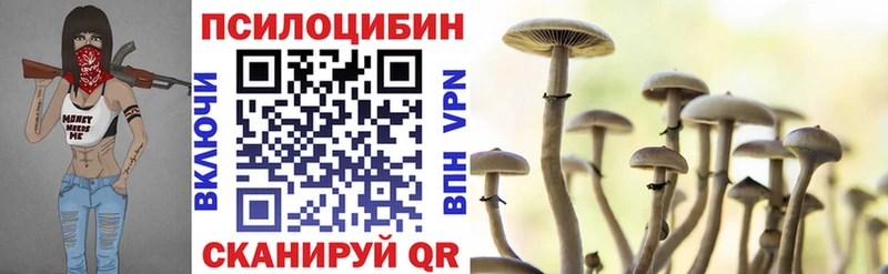 Псилоцибиновые грибы прущие грибы Новая Усмань