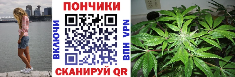 Купить где  Новая Усмань  Шишки марихуана VHQ 